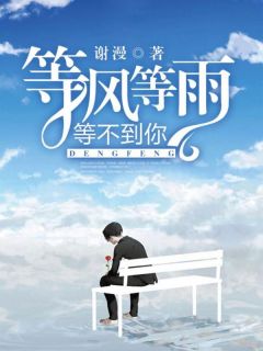 等风等雨,等不到你