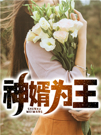 神婿为王霍苍平梁静by阿光太师完整在线阅读