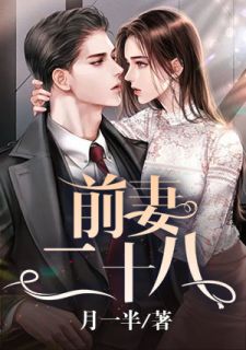 林松李婉儿小说 前妻二十八(林松李婉儿)小说阅读