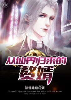 《从仙界归来的赘婿》小说全文免费试读 叶麟罗玲小说全文