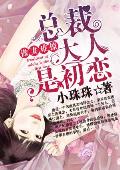傲妻难撩:总裁大人是初恋
