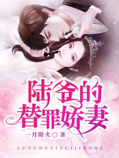 陆少,夫人帅炸了