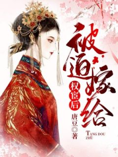 《我怀了死太监的崽》洛青林又棠章节在线试读