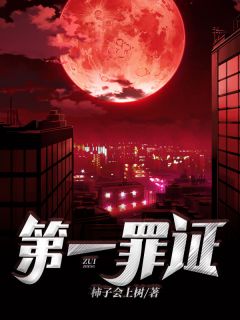 《第一罪证》小说全文免费试读 叶凡李铭小说阅读