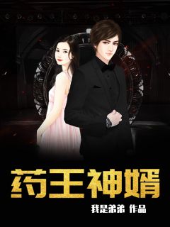 药王神婿小说 赵野林婉怡小说叫什么