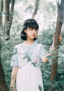 爱情与梦想的终结秦瑜盛聿城by春色满园全文免费阅读