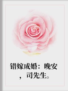 错嫁成婚：晚安，司先生。顾清秋司空夜小说全文免费阅读