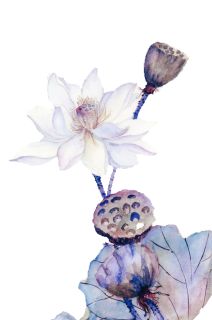 一嫁成婚：庄主不好惹