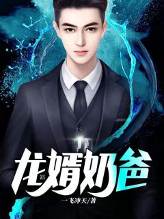 龙婿奶爸主角叶昊苏雨倩小说精彩章节全文免费试读