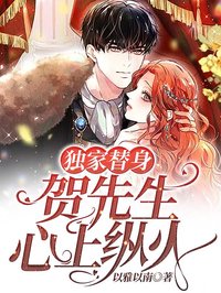 独家替身:贺先生心上纵火