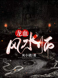 龙血风水师陆尘玲珑目录 龙血风水师小说阅读