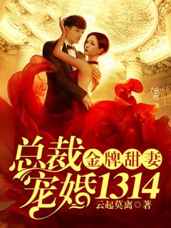 金牌甜妻,总裁宠婚1314完整全文阅读 苏北路南小说结局无删节