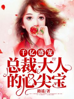 千亿盛宠:总裁大人的心尖宝
