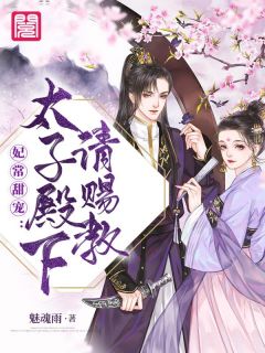 妃常甜宠:太子殿下请赐教