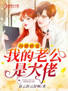 闪婚密爱:我的老公是大佬