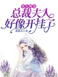 重生辣妻:夫人好像开挂了