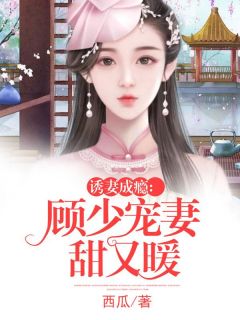 诱妻成瘾:顾少宠妻甜又暖