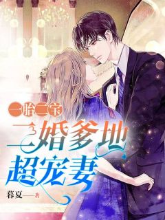 一胎二宝:二婚爹地超宠妻全文免费阅读 叶轻颜祁北琛小说最新章节完整版