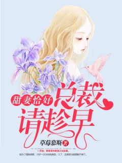 甜妻恰好，总裁请趁早免费试读 洛言沁御墨琛小说章节目录