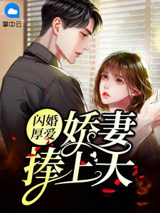 《闪婚厚爱:娇妻捧上天》小说章节列表在线阅读 辛紫卫折翼小说全文