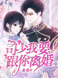 司少,我要跟你离婚