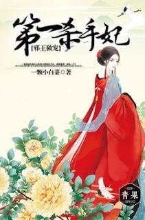 邪王宠妃:第一杀手妃