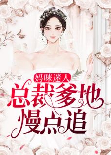 妈咪迷人:总裁爹地慢点追