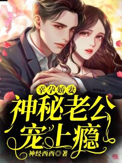 幸孕娇妻，神秘老公宠上瘾沈晏晏战北枭小说免费试读全文章节目录精彩章节