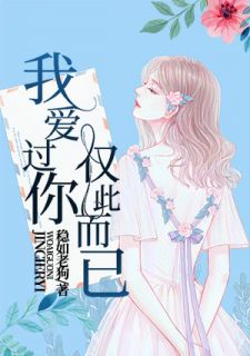 我爱过你,仅此而已