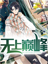 精品《无上巅峰》小说免费试读 叶风徐佳璐小说全集无删减全文