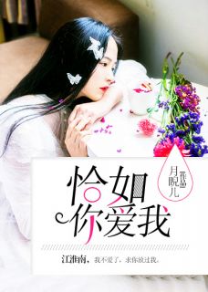 《恰如你爱我》苏末江淮南章节列表精彩阅读