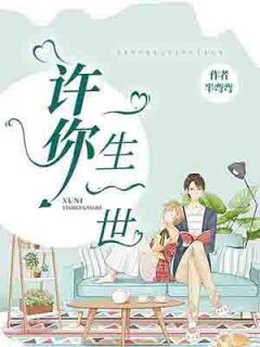 《许你一生一世》小说全文精彩章节在线阅读(言安希慕迟曜)