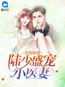 替嫁暖婚:陆少盛宠小医妻小说全文精彩章节在线阅读(季月陆绎宸)