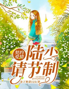 契约爱情:陆少,请节制