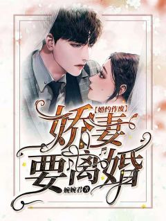 《婚约作废，娇妻要离婚》小说章节目录精彩试读 苏牧婉陆景年小说全文