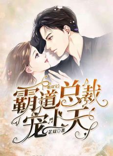 《一胎双宝:霸道总裁宠上天》小说大结局在线阅读 仲晚秋冷慕洵小说全文