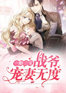 一胎二宝:战爷宠妻无度