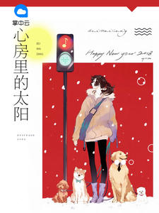 心房里的太阳免费试读 时小念宫欧小说章节目录