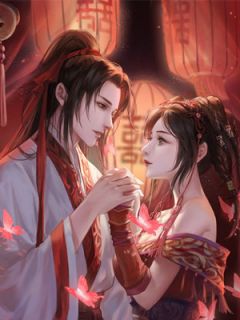 《护你白头终老》小说精彩章节免费试读(主角凤嬉薛舒宝)