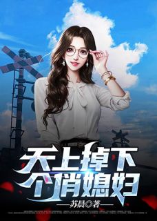 天上掉下个俏媳妇凌阳林允小说精彩章节在线阅读