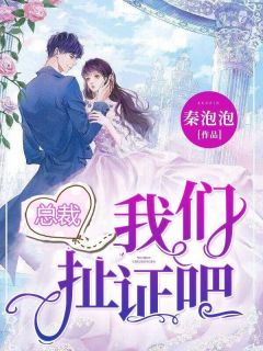 《总裁,我们扯证吧》(章南欣乔暮北)小说阅读by秦泡泡