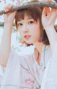 《佳人在怀难容旧人安可可洛凌川》秦木兮纪寒卿章节免费试读