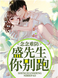 念念难防:盛先生你别跑