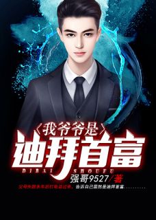 《我爷爷是迪拜首富》小说全文免费阅读 李凡李晓晓小说全文