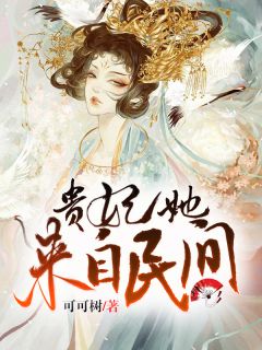 贵妃她来自民间苏梨雪周敬音小说全文章节目录免费试读