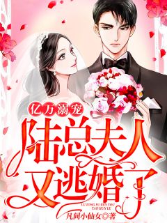 亿万溺宠:陆总,夫人又逃婚了