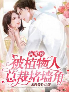 《新婚夜被植物人总裁堵墙角》(苏颜战斯寒)小说阅读by未晚许许
