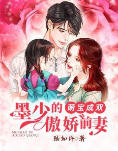 萌宝成双:墨少的傲娇前妻