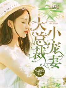 大总裁,小宠妻