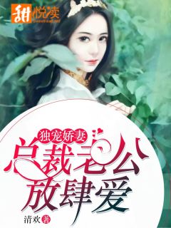 暮暮朝朝唯你心完整版全文阅读 司封权木风晚小说 大结局